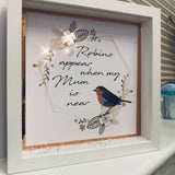 Robins Appear When  Frame