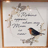Robins Appear When  Frame